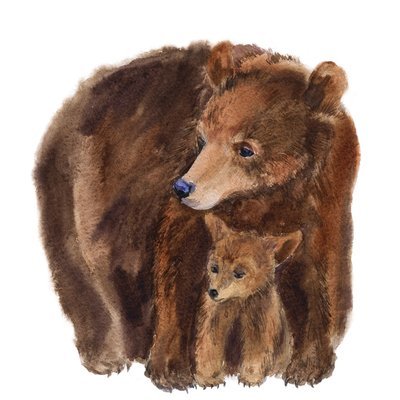 Акварельная картина "Медведица с медвежонком"