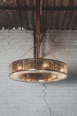 Fossil Chandelier