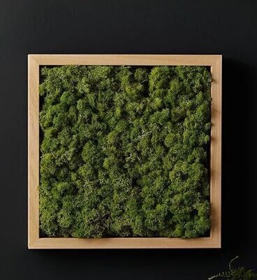 Classic wooden Moss Frames