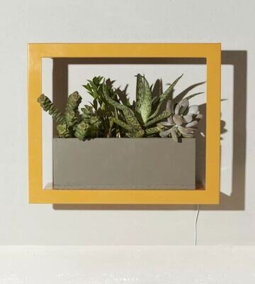 Grow frames with LED lightings