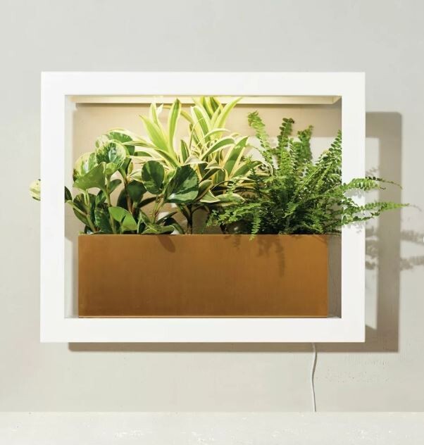 Grow frames with LED lightings, Color: White