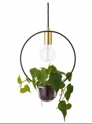 Circle Hanging plant