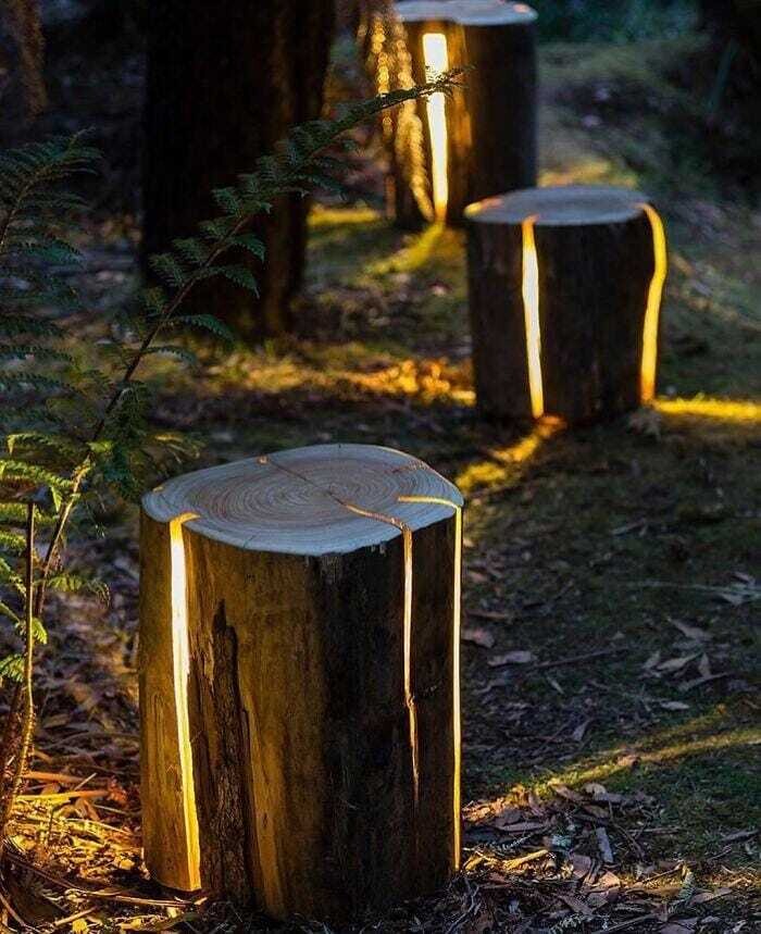 Raw Unfinished Timber Woodlog