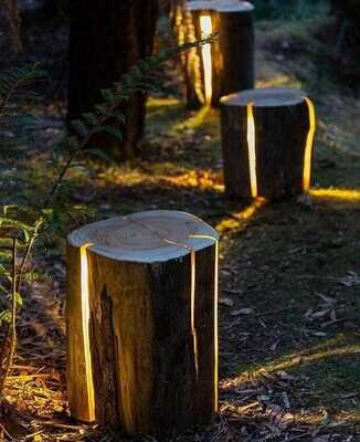 Raw Unfinished Timber Woodlog