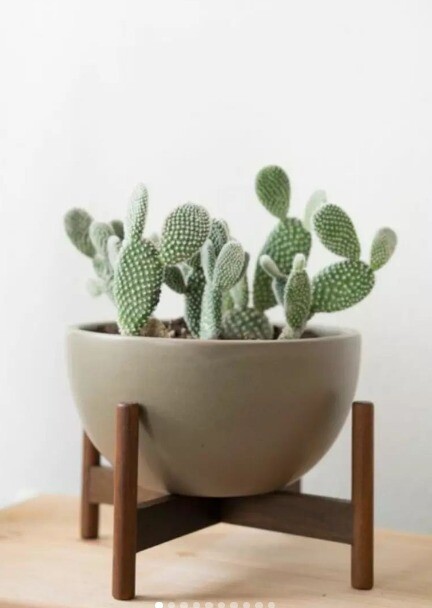Mid Century Planters