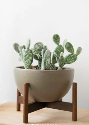 Mid Century Planters