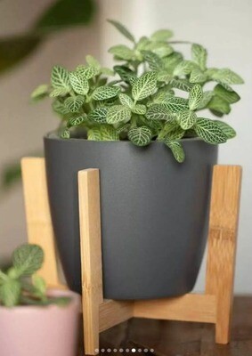 Mid Century Planters - 05