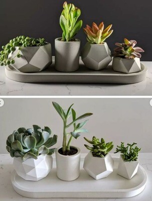 Modern geometric concrete planters