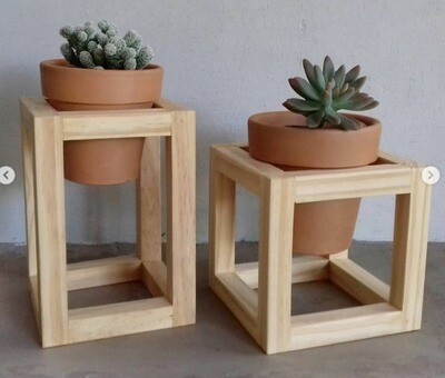 Polished cubical wooden frames with terracotta planters