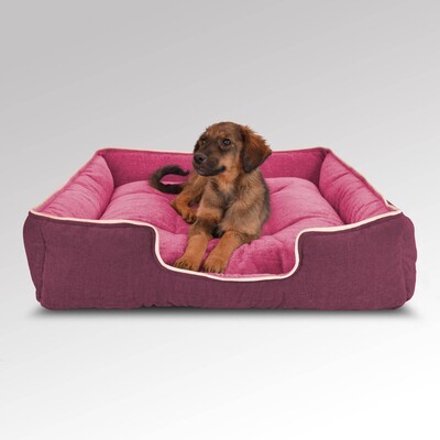 Pet Furniture