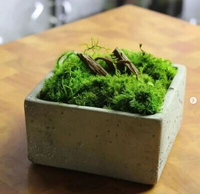 Table Top Planters​
