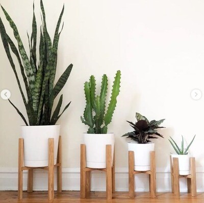 Floor Planters​