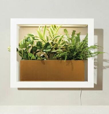Wall mounted planters​