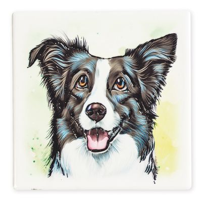 Coaster Border Collie