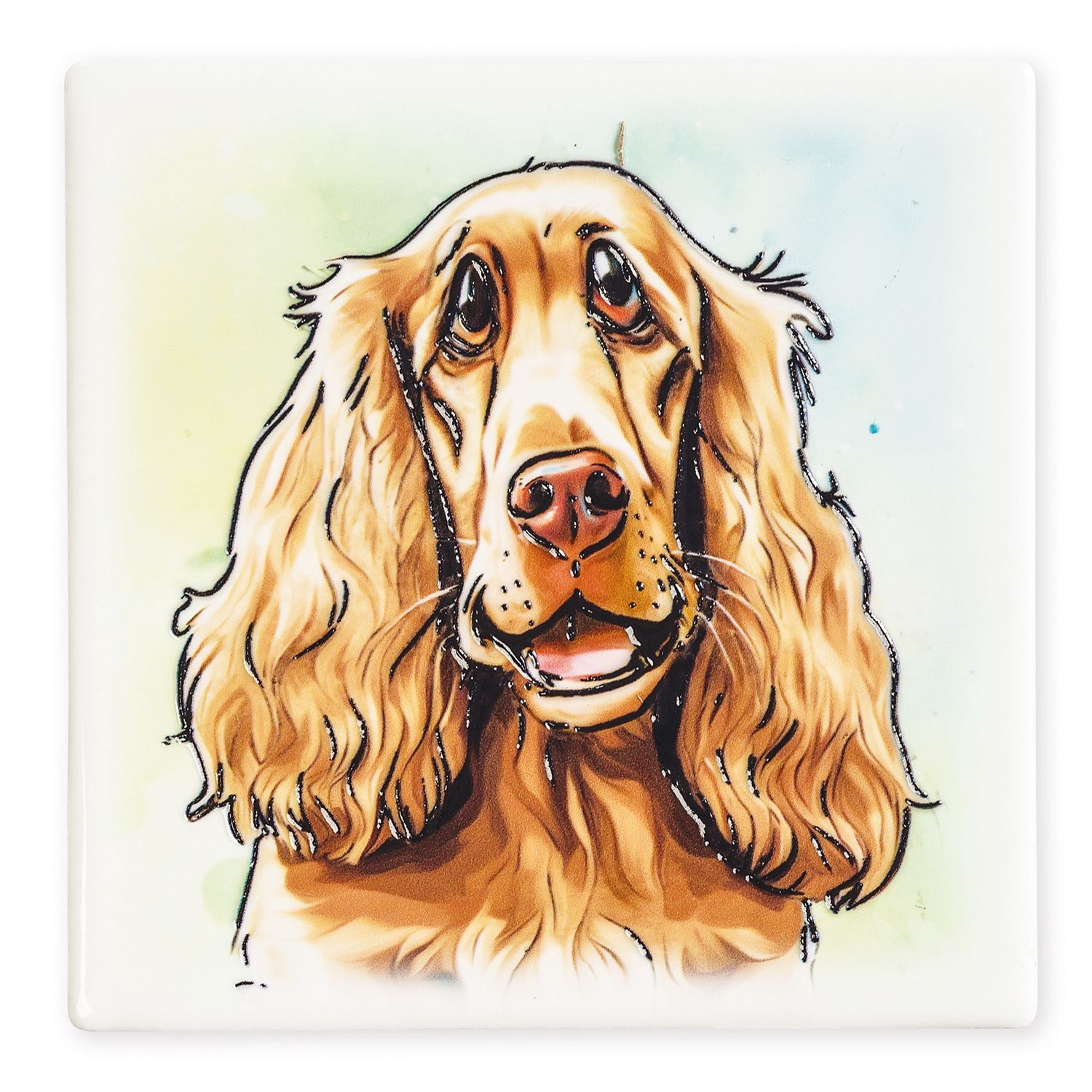 Coaster Cocker Spaniel