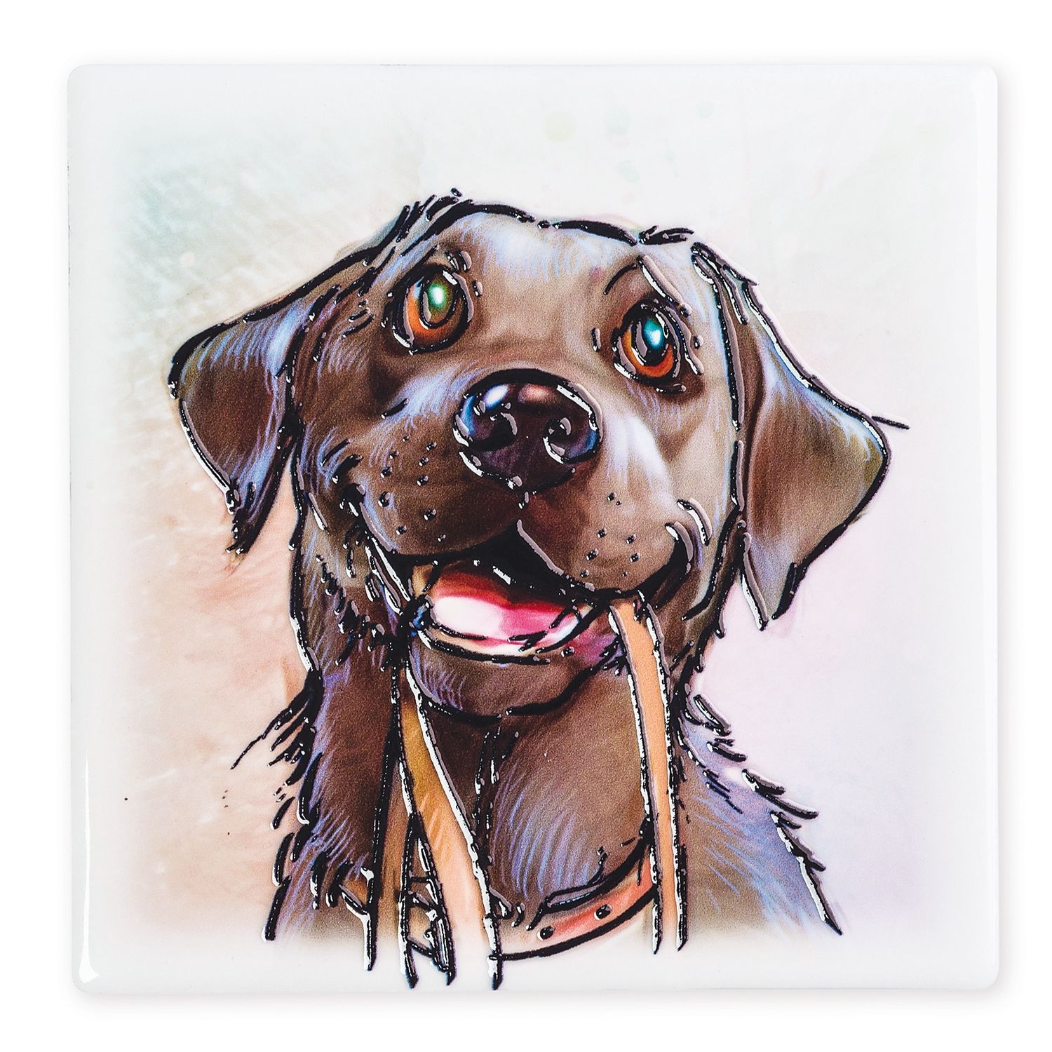 Coaster Black Labrador