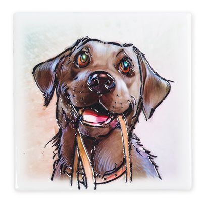 Coaster Black Labrador