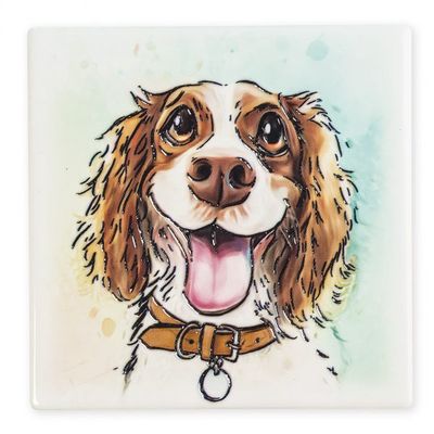 Art of Arora Springer Spaniel – Ceramistone Magnet
