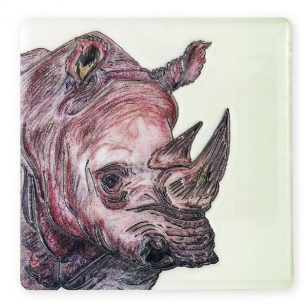 Rhino Coaster