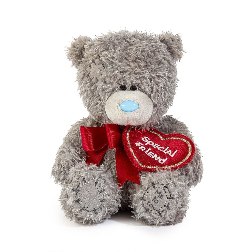 Special Friend Plush