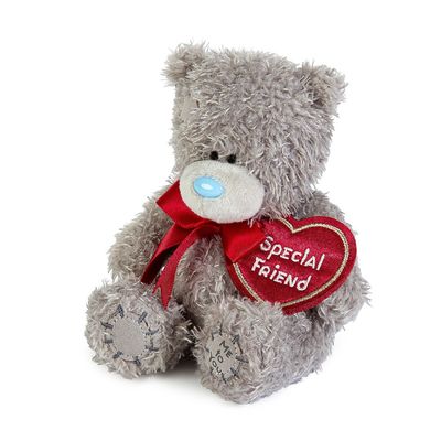 Special Friend Plush
