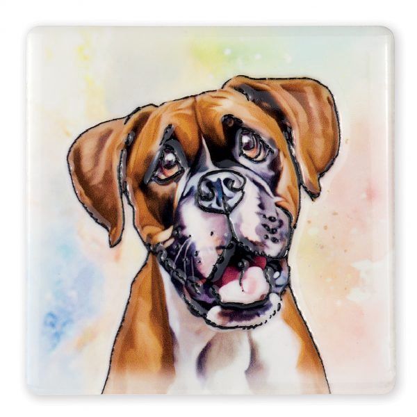 Boxer Coaster