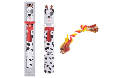 Crackers Silver Pet Dog 14&quot;