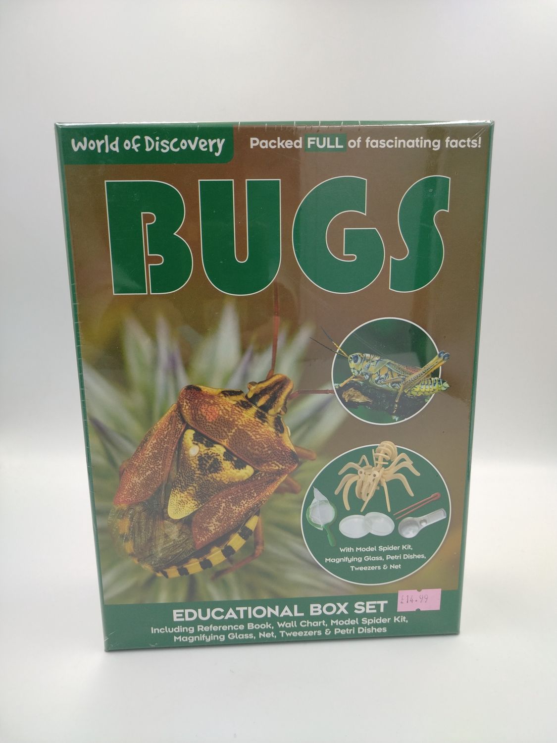 Bugs activity kit