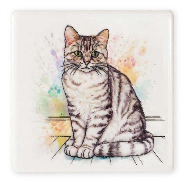Silver Tabby Cat Coaster