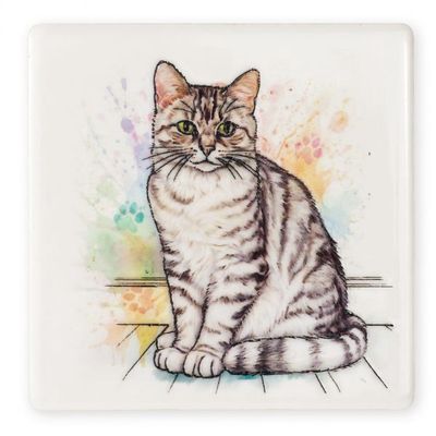 Silver Tabby Cat Coaster