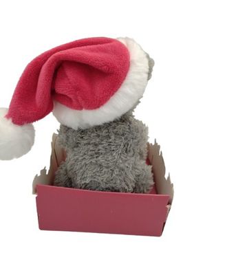 Tatty Ted with Santa Hat