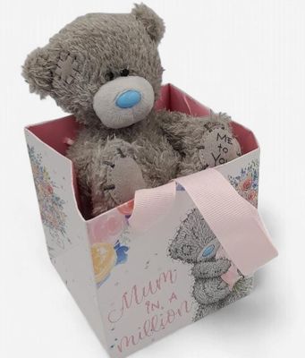 'Mum in a million' Tatty Ted in bag plush soft toy