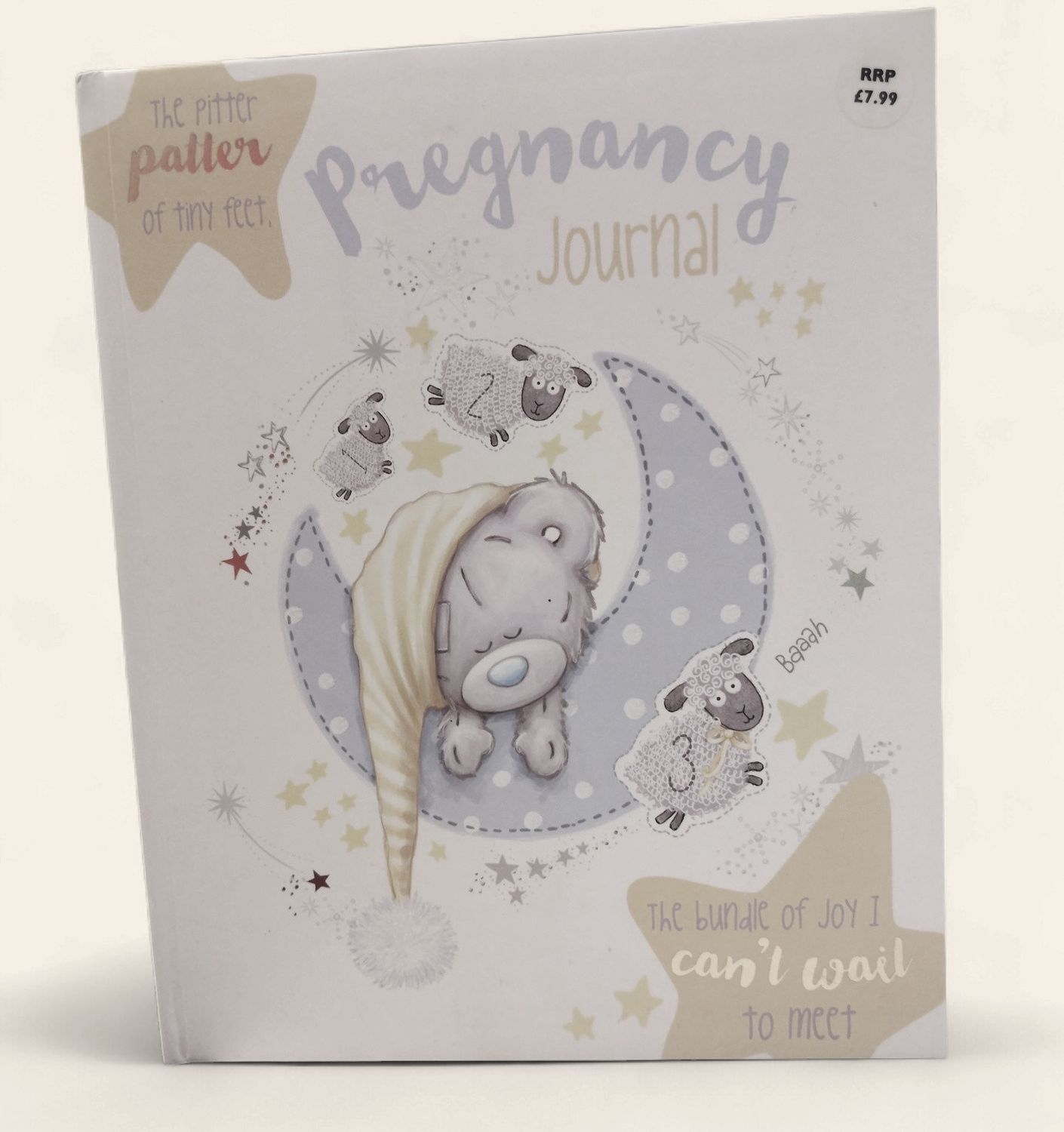 Pregnancy Journal - Tatty Teddy