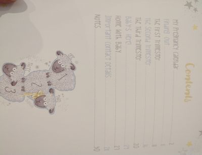 Pregnancy Journal - Tatty Teddy
