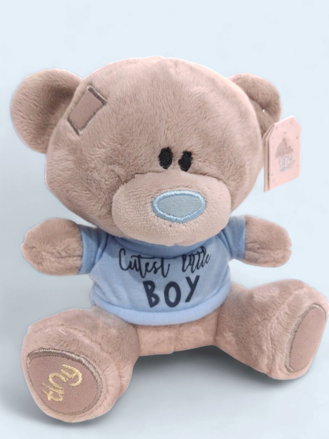Tiny Tatty Teddy - Cutest Little Boy Teddy