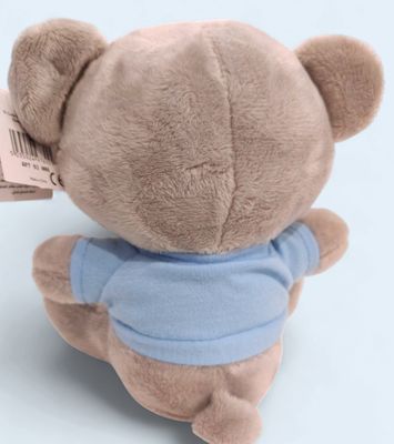 Tiny Tatty Teddy - Cutest Little Boy Teddy