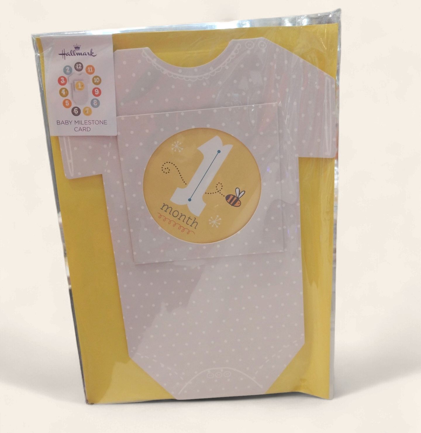 Baby Milestone Cards for 1st Year of Photos