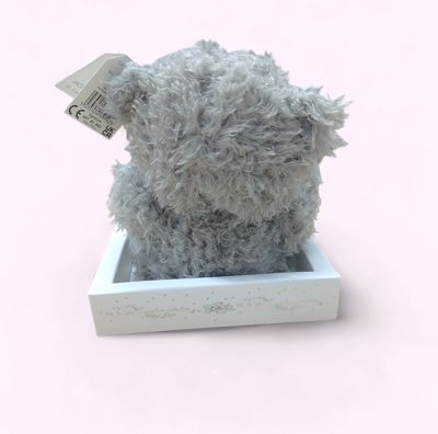 Bridesmaid Tatty Teddy