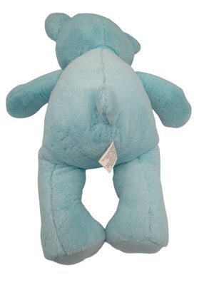 Baby Boy Teddy Bear