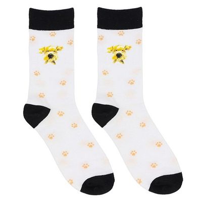 Pawsome Dog Socks