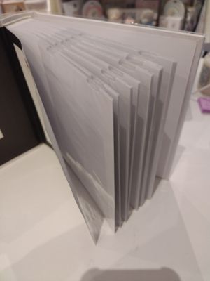 21st Birthday Photo Album