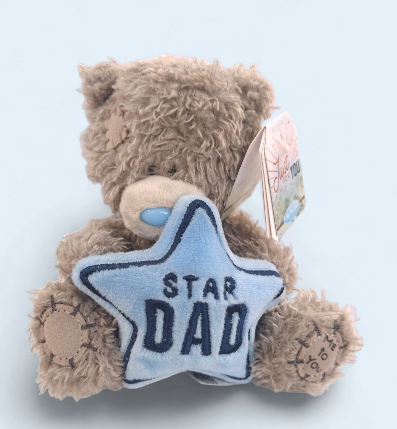 Star Dad Tatty Teddy