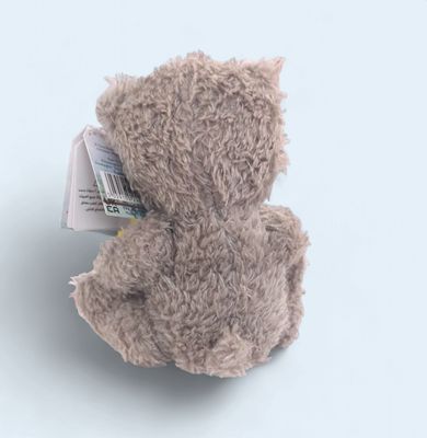 Star Dad Tatty Teddy