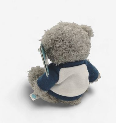 World's Greatest Dad Tatty Teddy
