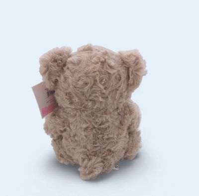 Paige Boy Teddy