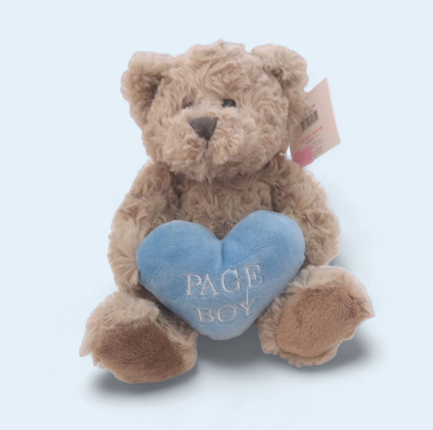 Paige Boy Teddy