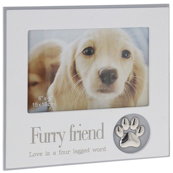 Modern Sentiment Frame Dog
