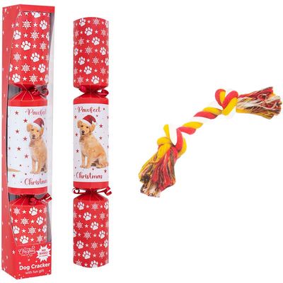 Pet Dog Christmas Cracker