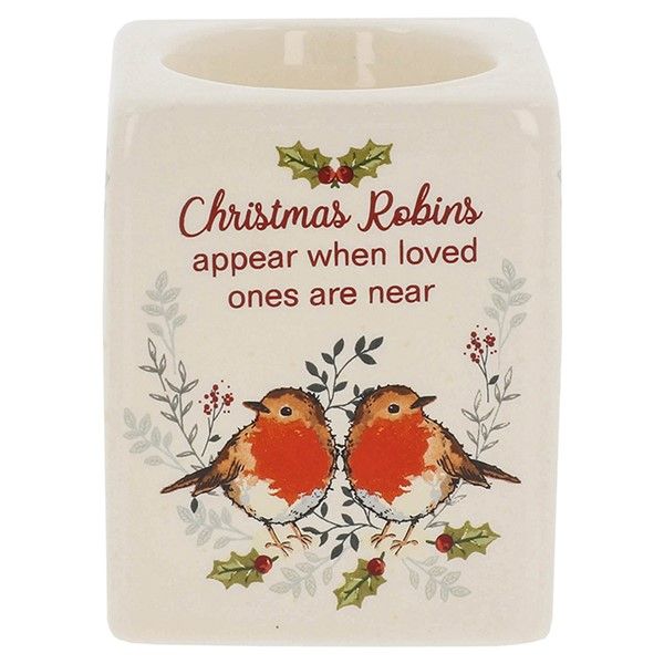 Winter Robins Appear Tealight