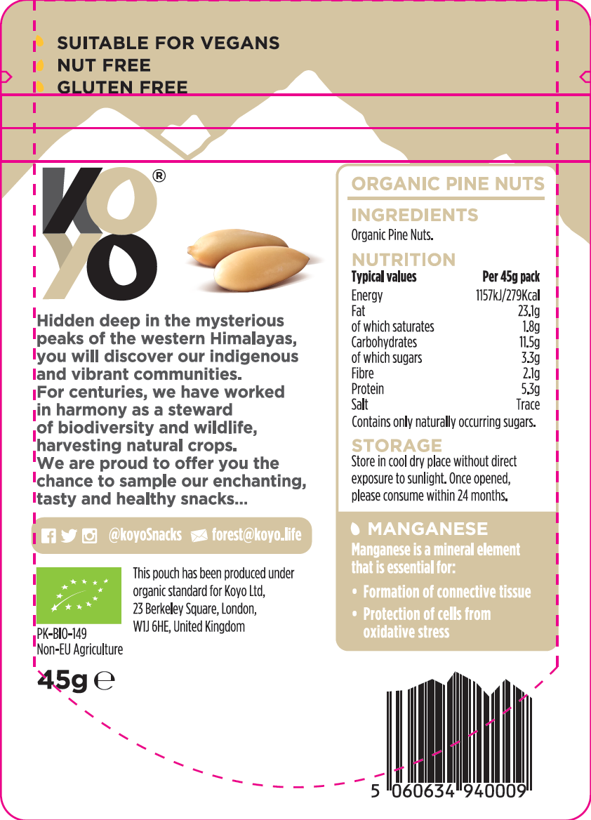 Organic Raw Pine Nuts